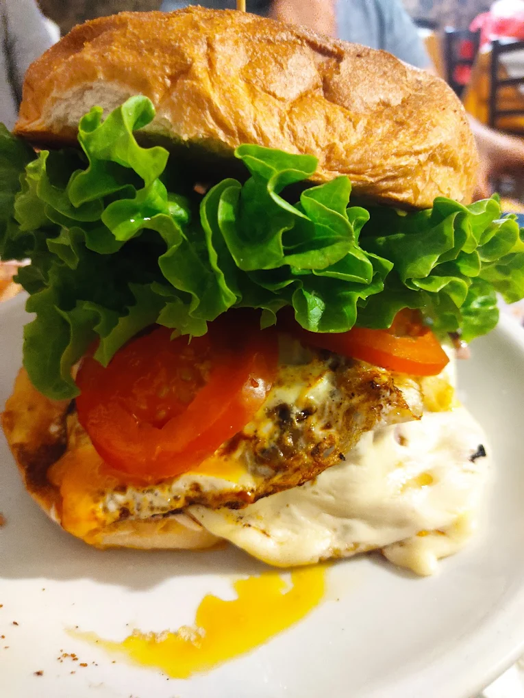 Panino con pollo, pomodoro e insalata